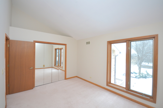 421 Delaware Circle Bolingbrook, IL 60440 - Photo 18 of 23