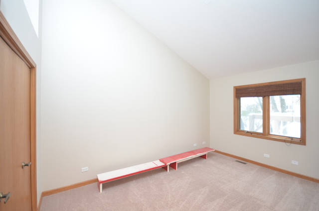 421 Delaware Circle Bolingbrook, IL 60440 - Photo 19 of 23