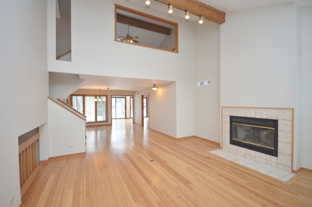 421 Delaware Circle Bolingbrook, IL 60440 - Photo 4 of 23