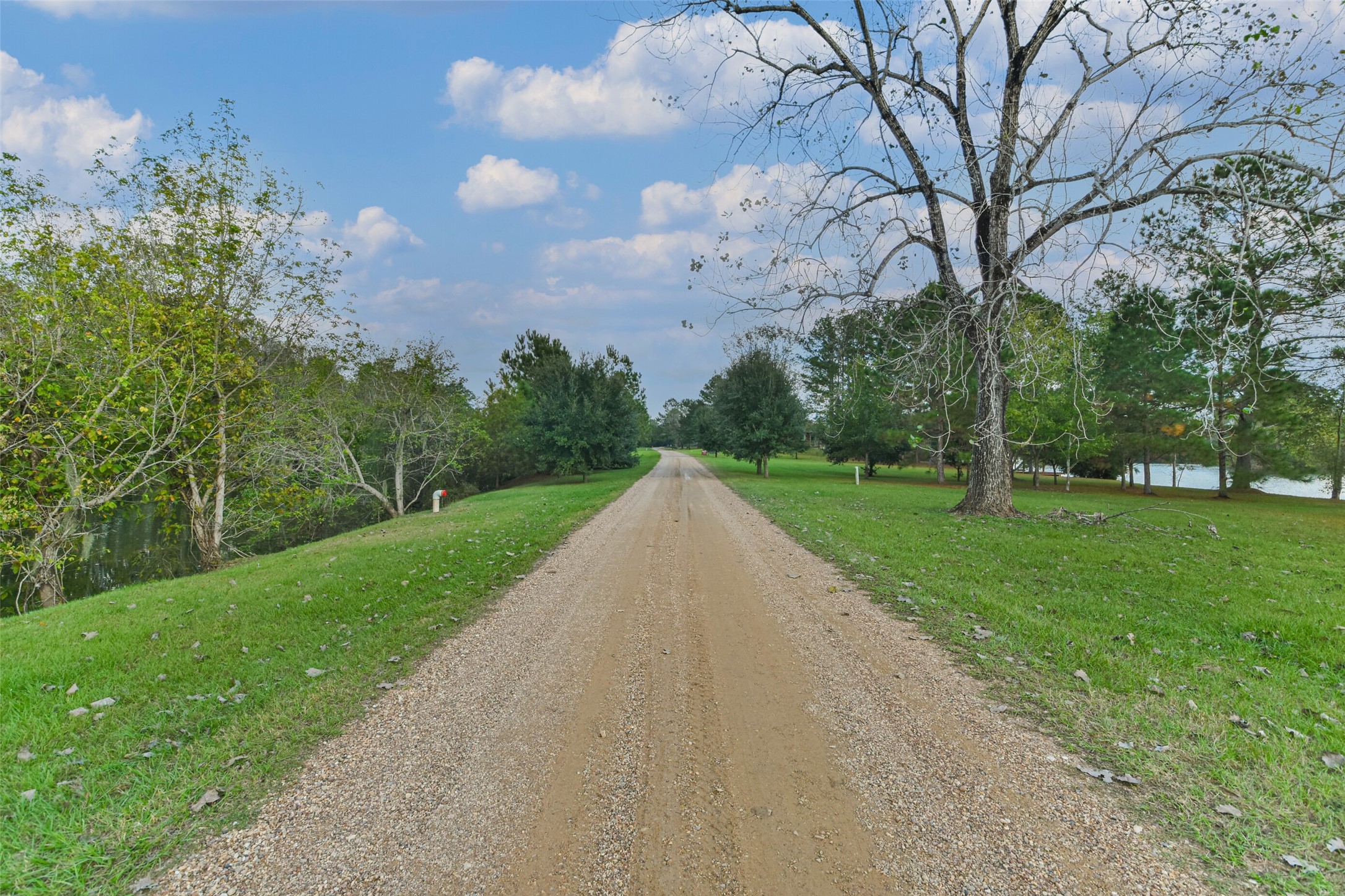 17-16 A Smith Loop North Cleveland, TX 77327 - Photo 24 of 38 a view of a park with large trees