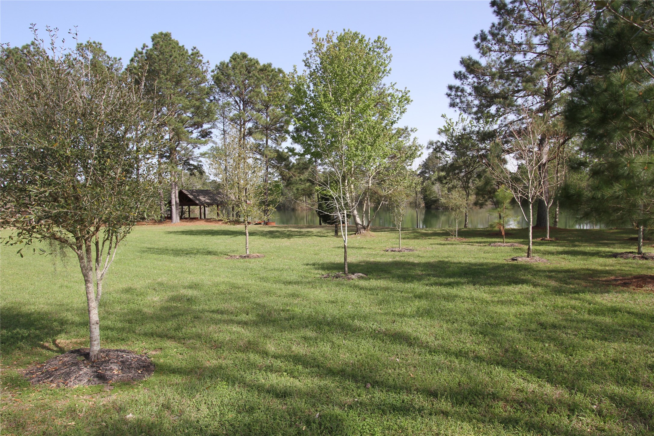 17-16 A Smith Loop North Cleveland, TX 77327 - Photo 4 of 38 a view of a park