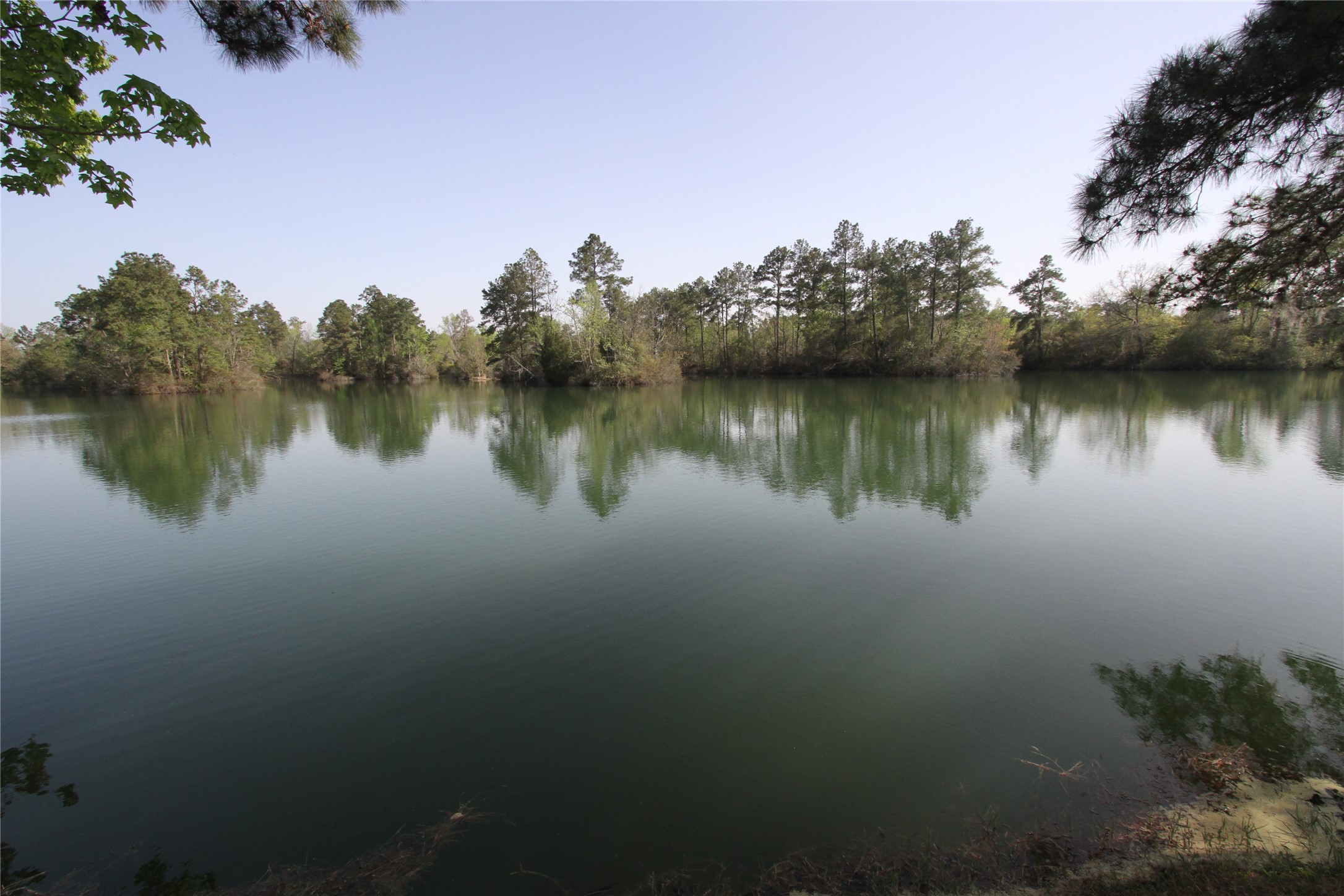 17-16 A Smith Loop North Cleveland, TX 77327 - Photo 5 of 38 a view of a lake with a yard