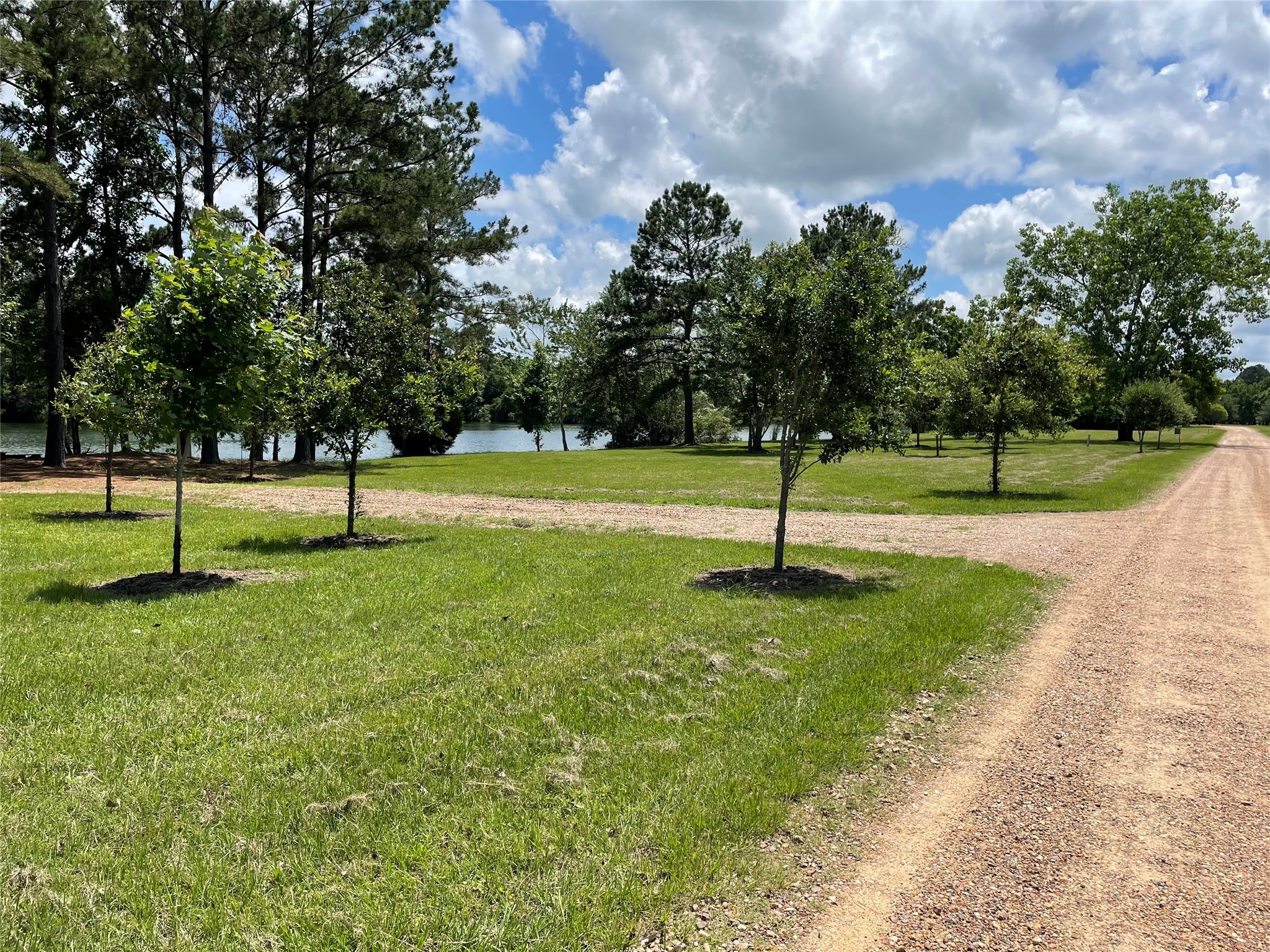 17-16 A Smith Loop North Cleveland, TX 77327 - Photo 8 of 38 a view of a park with a tree
