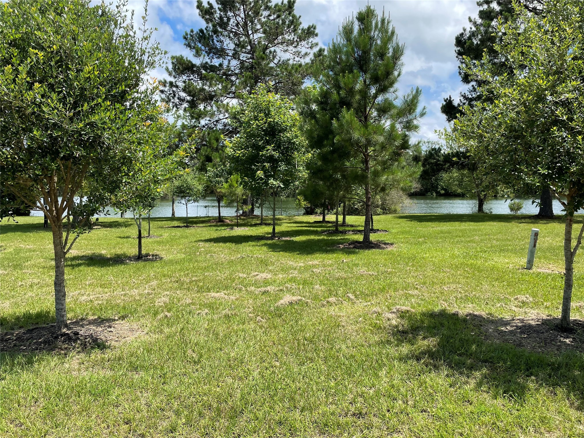 17-16 A Smith Loop North Cleveland, TX 77327 - Photo 9 of 38 a view of an outdoor space and yard