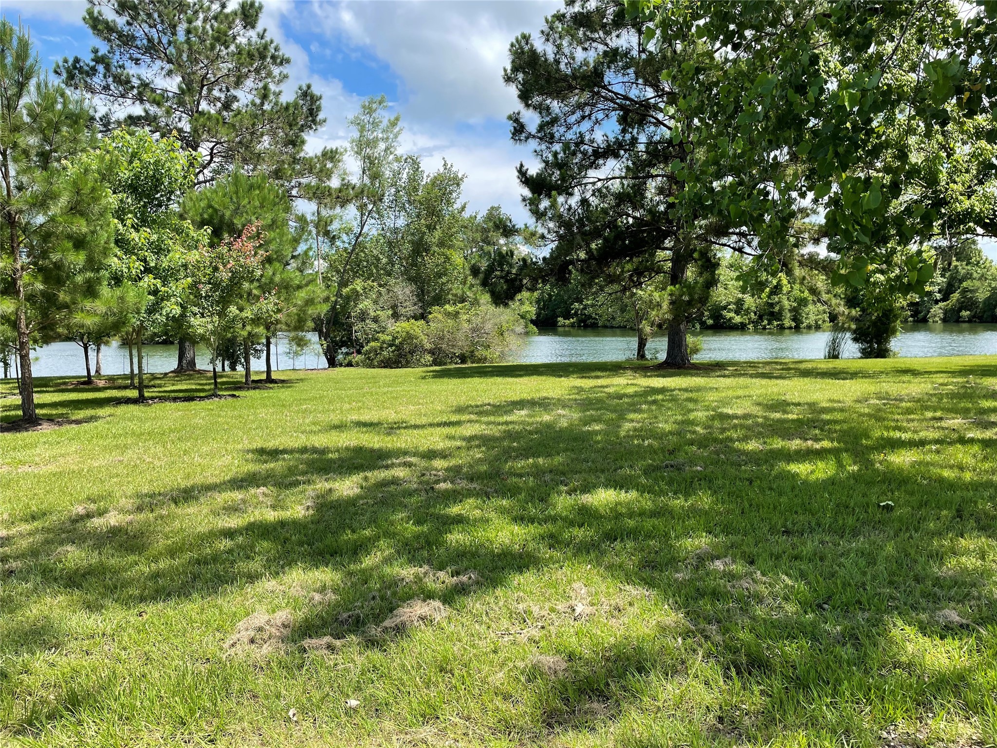 17-16 A Smith Loop North Cleveland, TX 77327 - Photo 10 of 38 a big yard with trees in the background