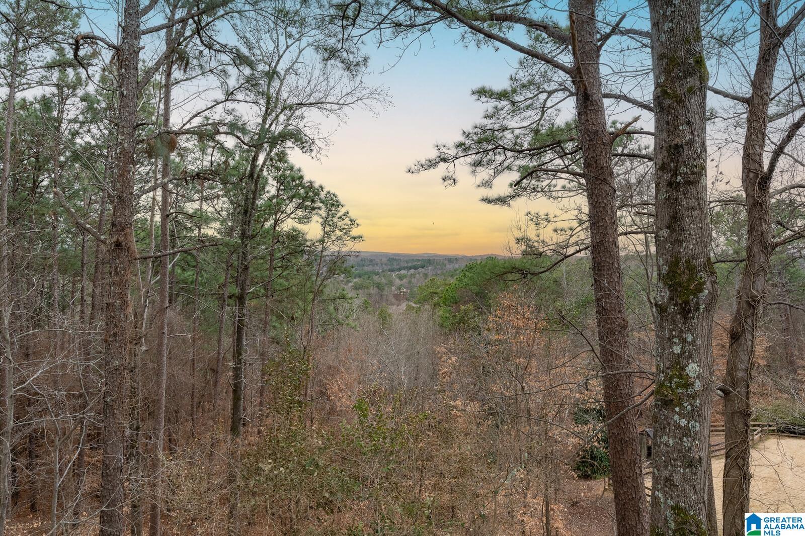 2911 Pahokee Trace Birmingham, AL 35243 - Photo 22 of 47