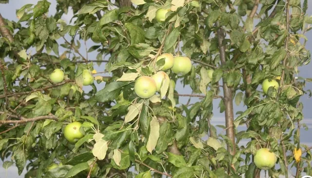 $515,000 | 15428 Hazel Green, Tomah, WI 54660