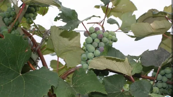 $515,000 | 15428 Hazel Green, Tomah, WI 54660