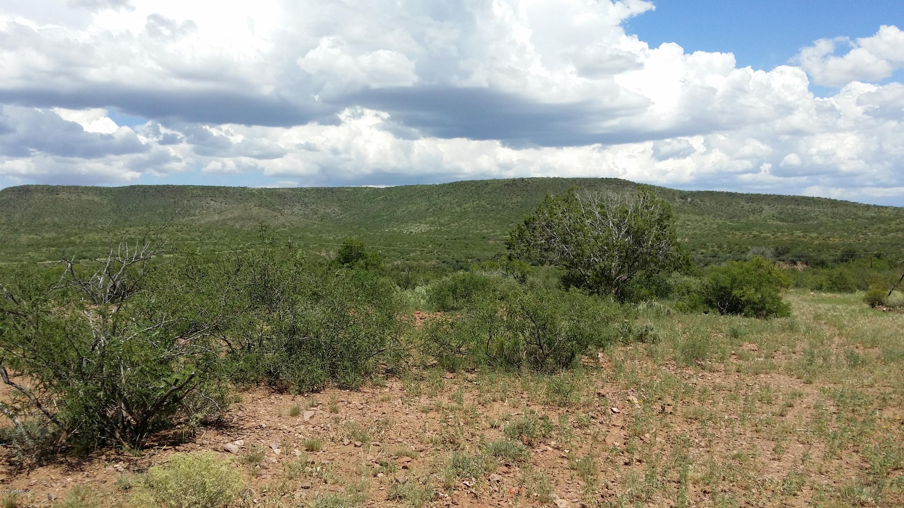 27.084-ac North Silver Creek Road Douglas, AZ 85607 - Photo 15 of 21