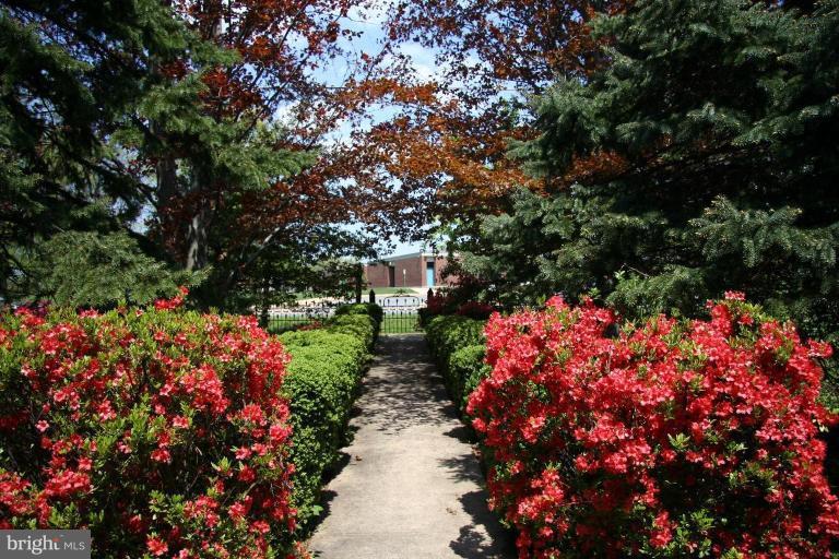 1503 Frederick Road Catonsville, MD 21228 - Photo 6 of 23 a picture of flowers
