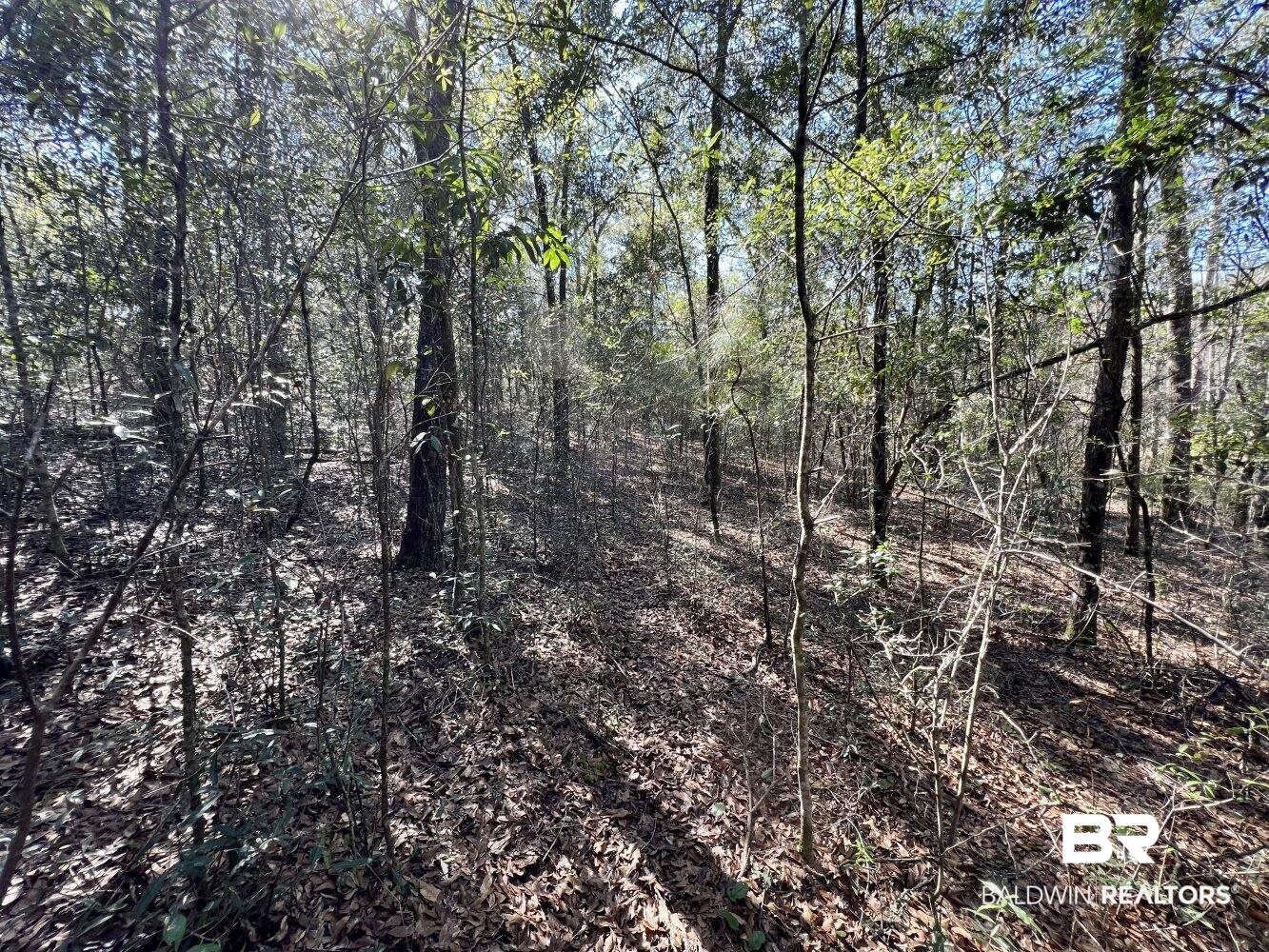 0 Dixon Road Bay Minette, AL 36507 - Photo 32 of 50
