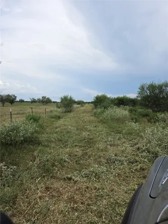 a view of a field with an ocean and trees