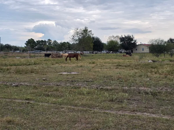 a view of a field with trees in background