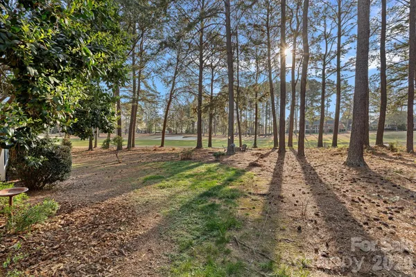a view of yard with trees