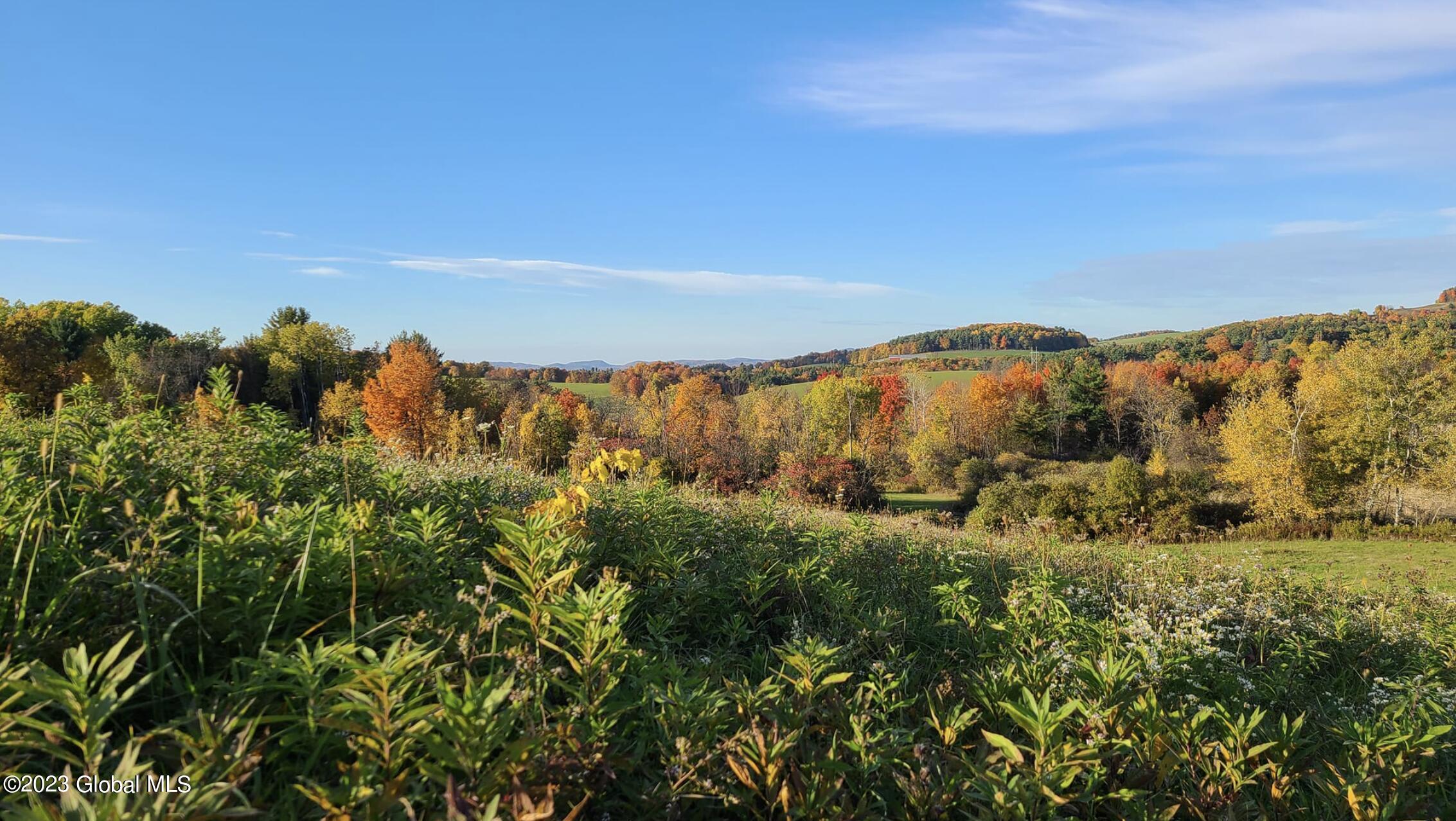 321 Spicer Road Hoosick Falls, NY 12090 - Photo 56 of 56 Screen Shot 2023-11-13 at 4.44.48 PM