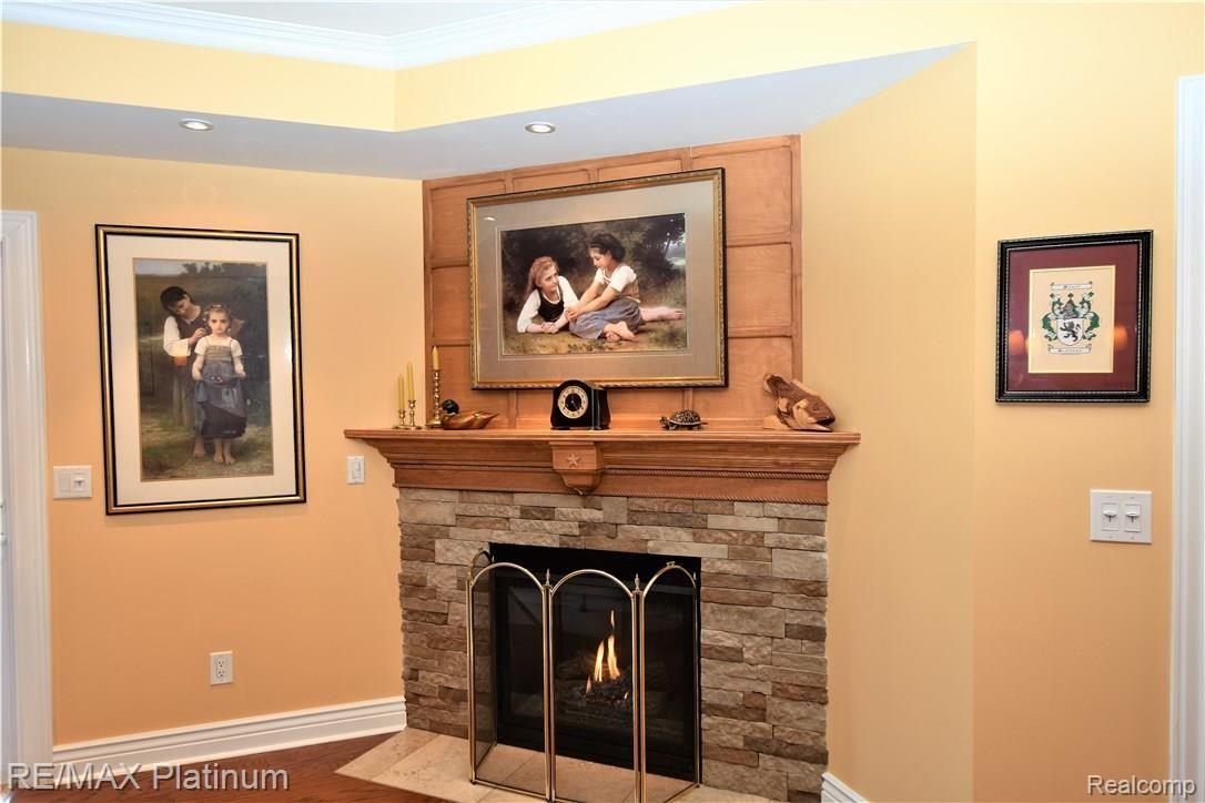 104 Sedum Road Howell, MI 48843 - Photo 21 of 33 Lower Level Fireplace