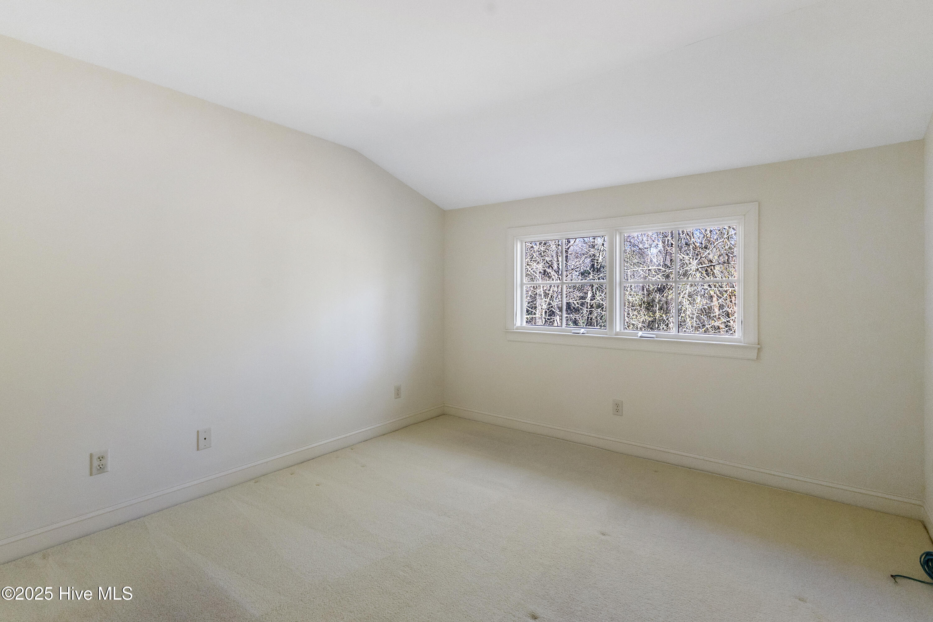 4472 Croomsbridge Road Burgaw, NC 28425 - Photo 47 of 74 IMG_1426