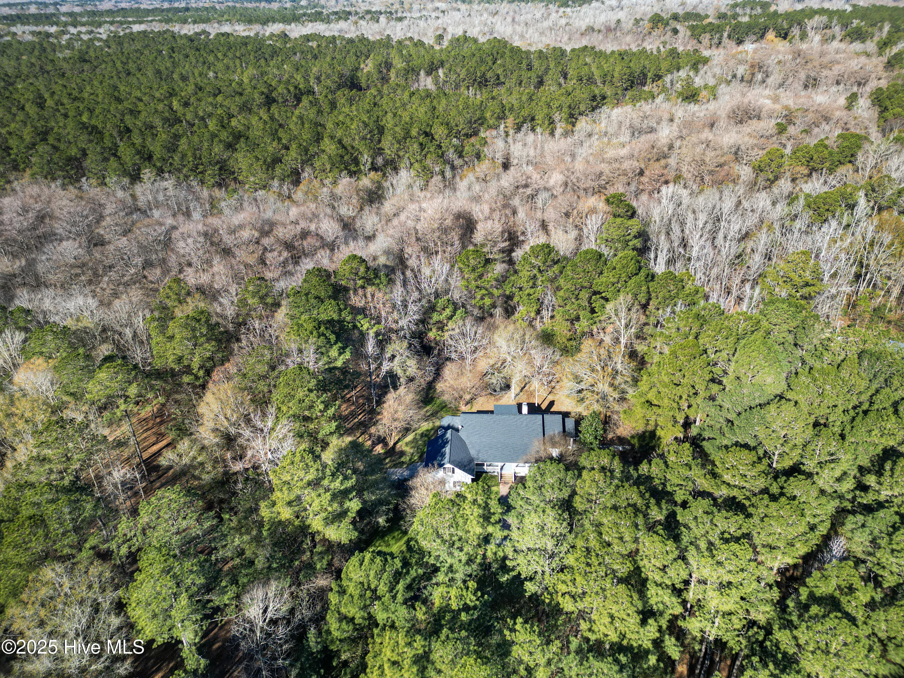 4472 Croomsbridge Road Burgaw, NC 28425 - Photo 67 of 74 DJI_0963