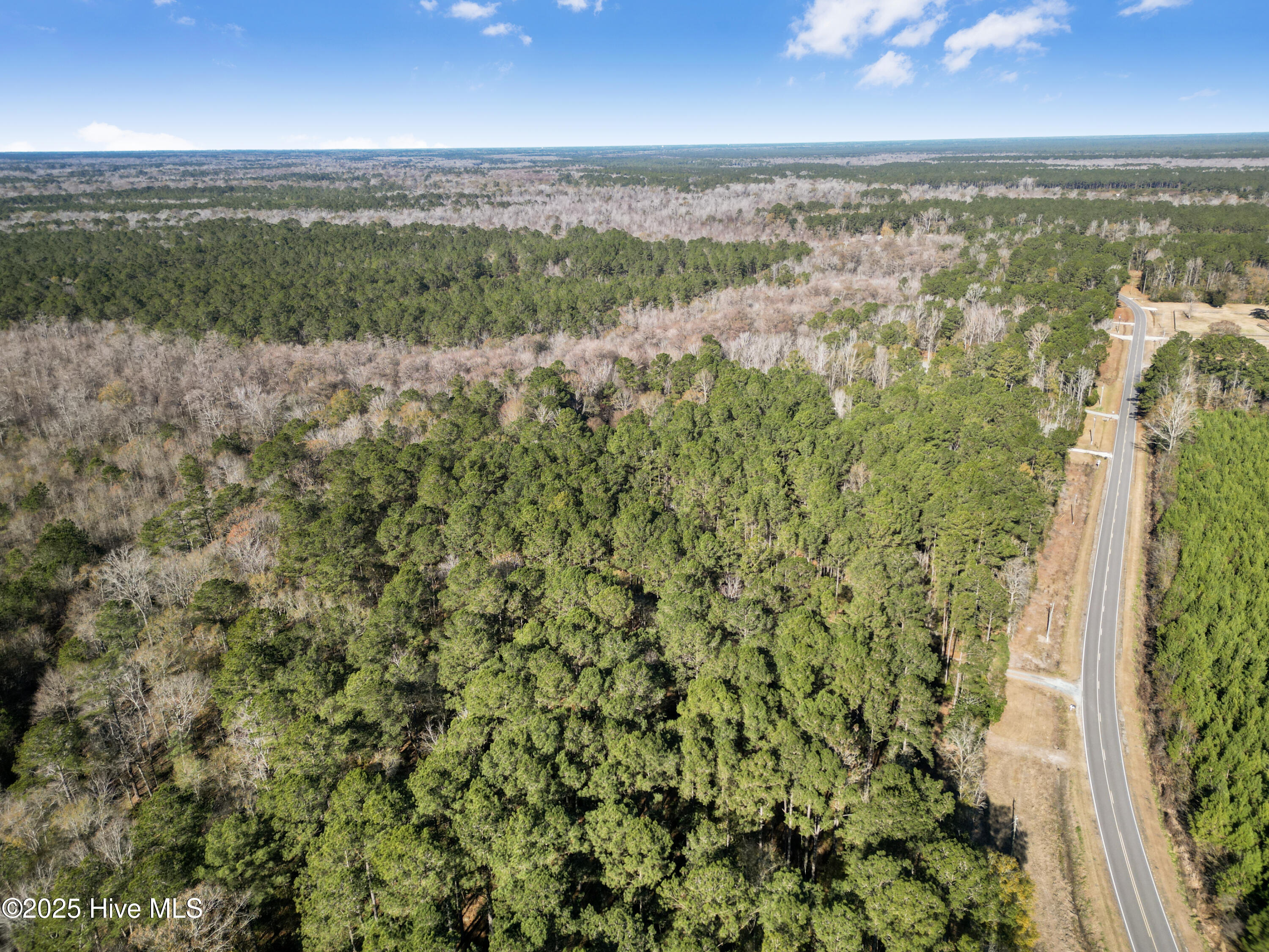 4472 Croomsbridge Road Burgaw, NC 28425 - Photo 68 of 74 DJI_0964