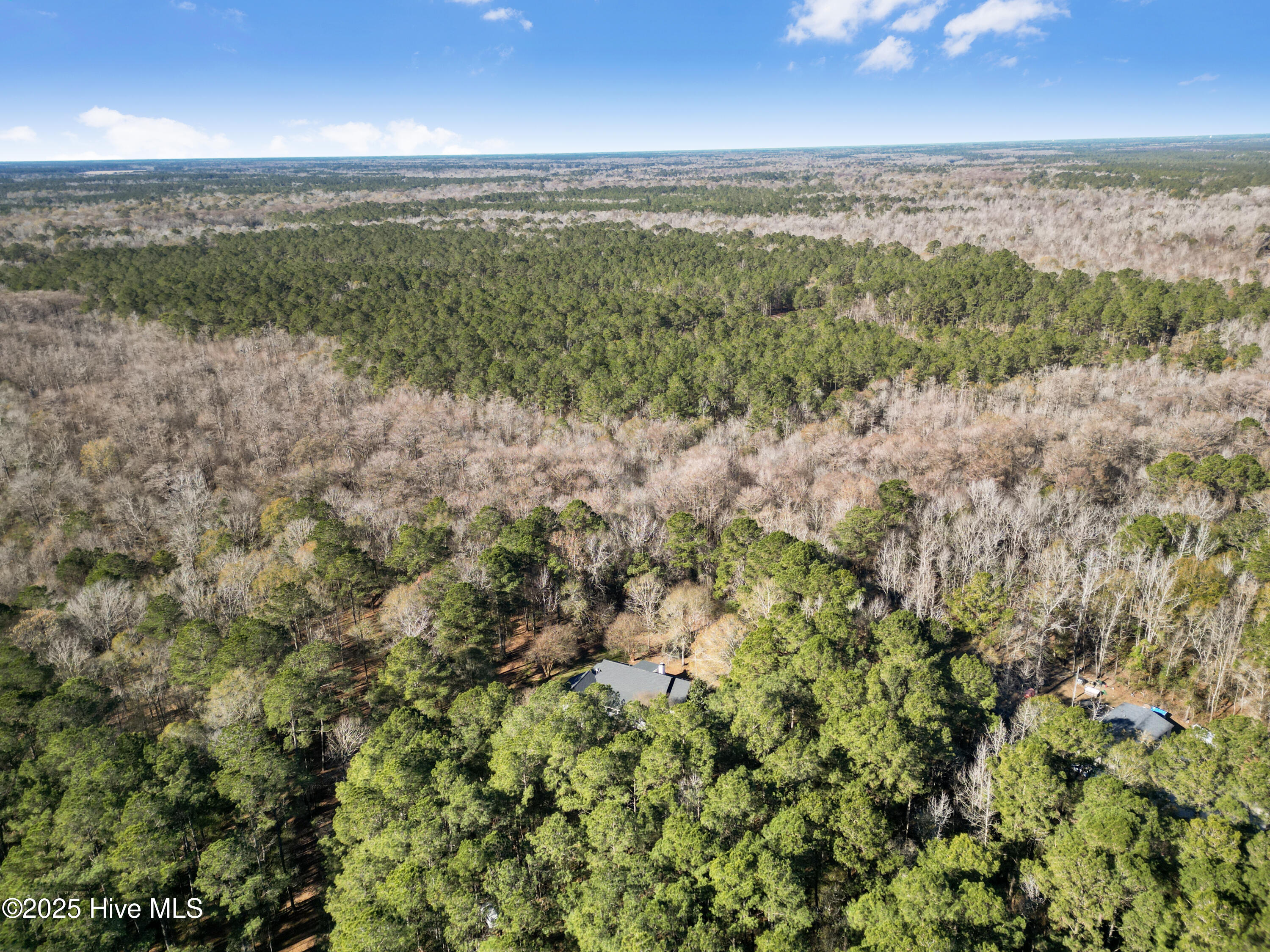 4472 Croomsbridge Road Burgaw, NC 28425 - Photo 69 of 74 DJI_0965