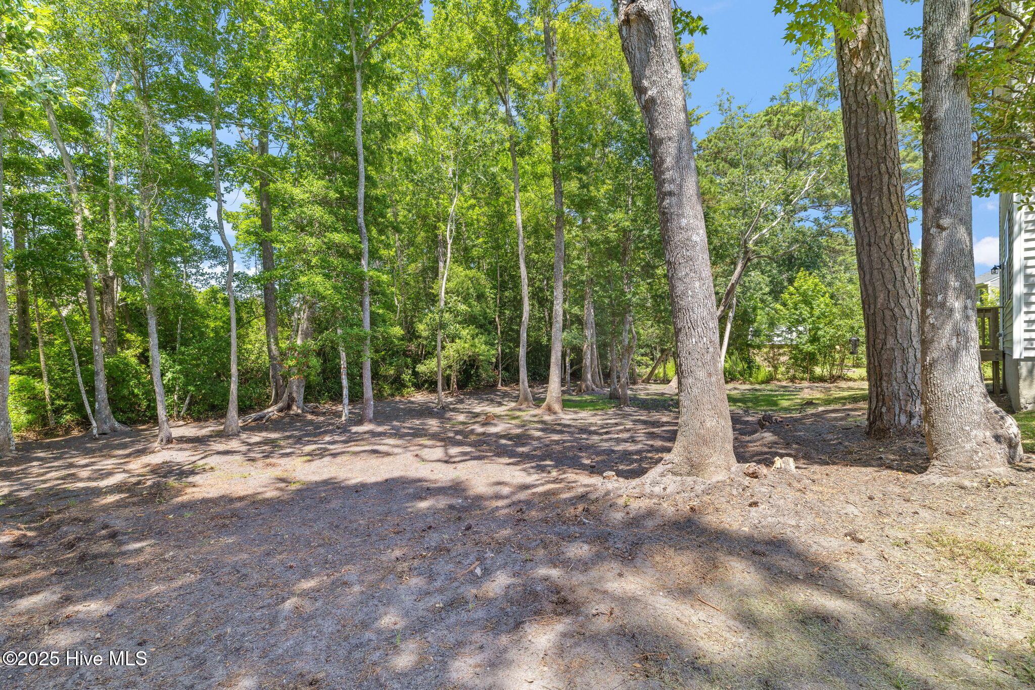107 Tralee Place Holly Ridge, NC 28445 - Photo 42 of 50 44-web-or-mls-GI - 107 Tralee Pl - Listi