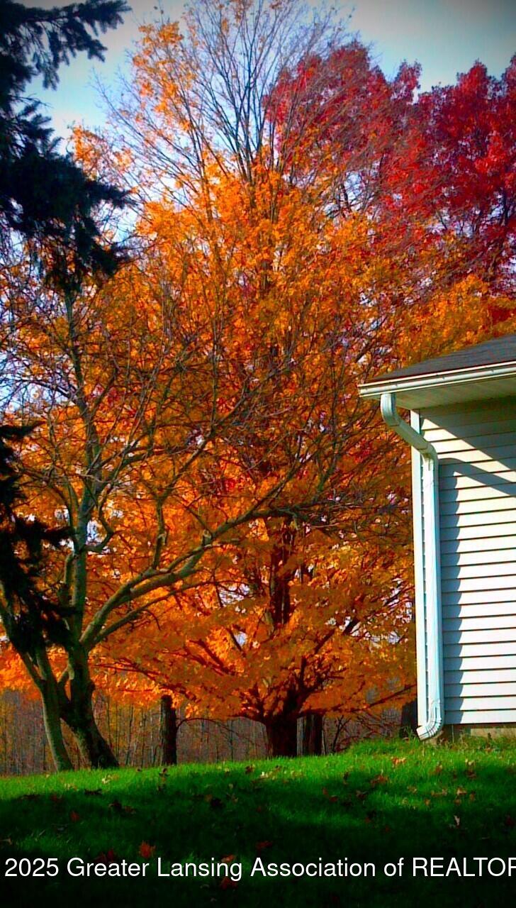 12333 Brown Road Eaton Rapids, MI 48827 - Photo 19 of 20 thumbnail_123_1 (6)