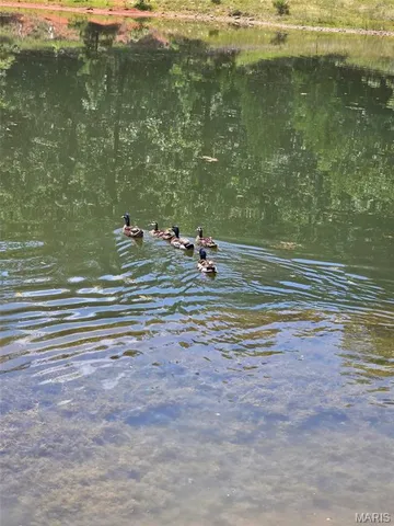 $239,900 | 15089 State Highway, Gatewood, MO 63942