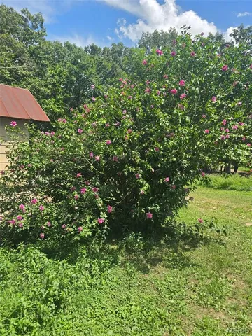 $239,900 | 15089 State Highway, Gatewood, MO 63942