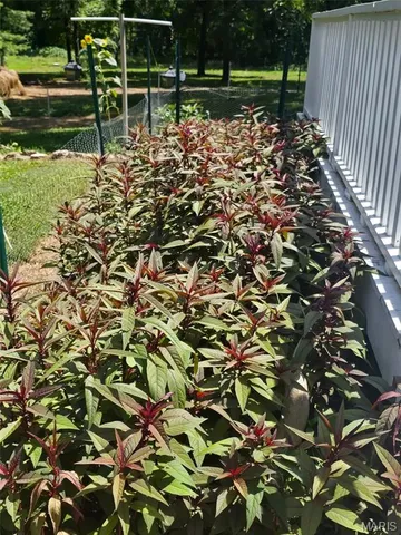 $239,900 | 15089 State Highway, Gatewood, MO 63942