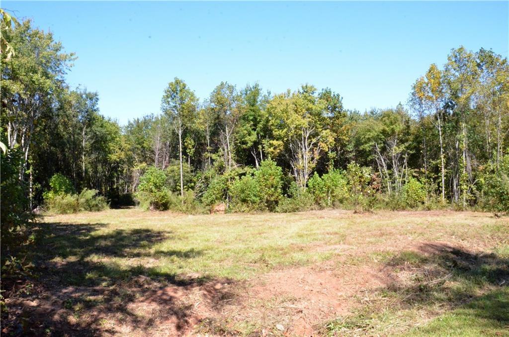 0 Green Level Loop Road Burlington, NC 27217 - Photo 1 of 10 Gallery Image 1