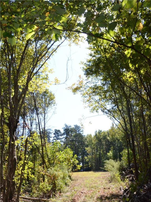 0 Green Level Loop Road Burlington, NC 27217 - Photo 4 of 10 Gallery Image 4