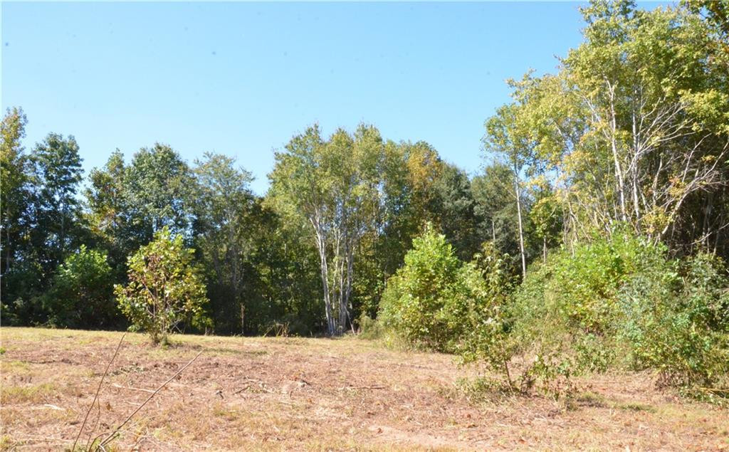 0 Green Level Loop Road Burlington, NC 27217 - Photo 5 of 10 Gallery Image 5