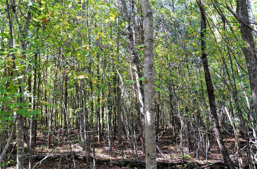 0 Green Level Loop Road Burlington, NC 27217 - Photo 8 of 10 Gallery Image 8