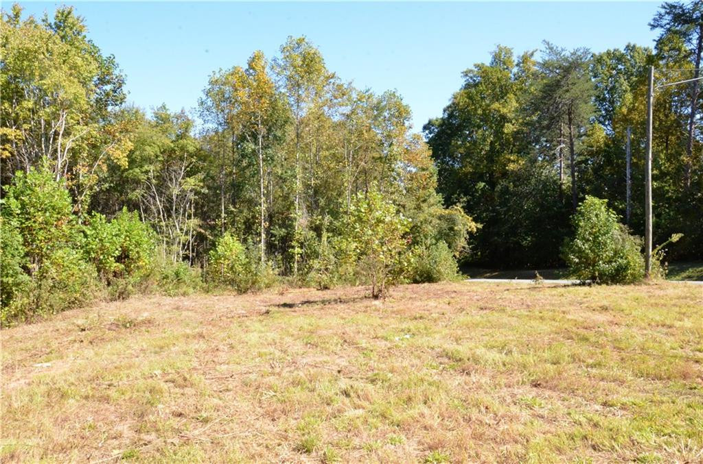 0 Green Level Loop Road Burlington, NC 27217 - Photo 10 of 10 Gallery Image 10
