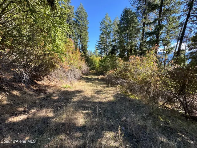$250,000 | L19-l20 North Terrace Drive, Bayview, ID 83803