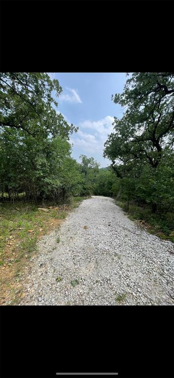 363 Three Forks Chico, TX 76431 - Photo 3 of 8 a view of backyard with green space