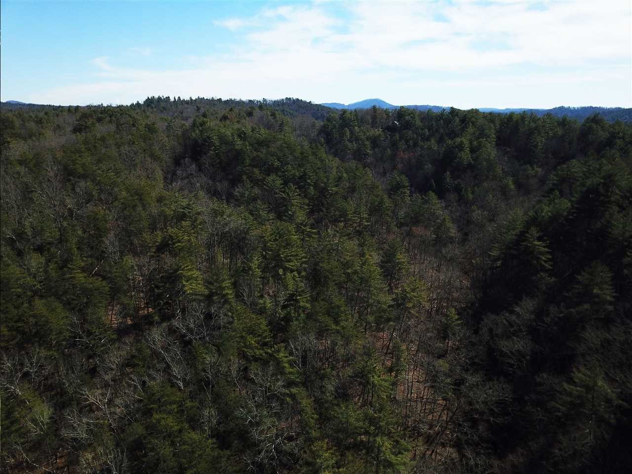0 Towee Pike Reliance, TN 37369 - Photo 32 of 41
