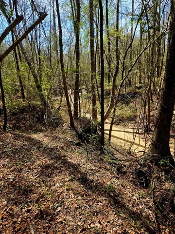 $238,000 | 0 J L J L Robbins Road, Carson, MS 39427