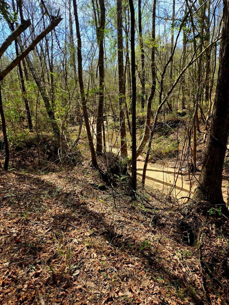 0 J L J L Robbins Road Carson, MS 39427 - Photo 1 of 33 Main View