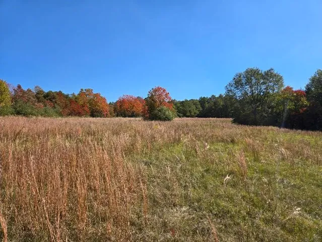 $238,000 | 0 J L J L Robbins Road, Carson, MS 39427