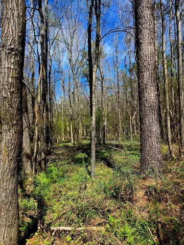 $238,000 | 0 J L J L Robbins Road, Carson, MS 39427