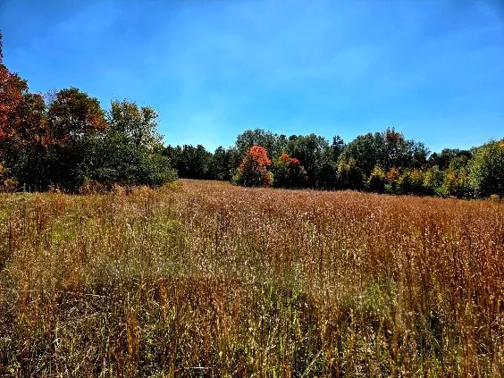 $238,000 | 0 J L J L Robbins Road, Carson, MS 39427