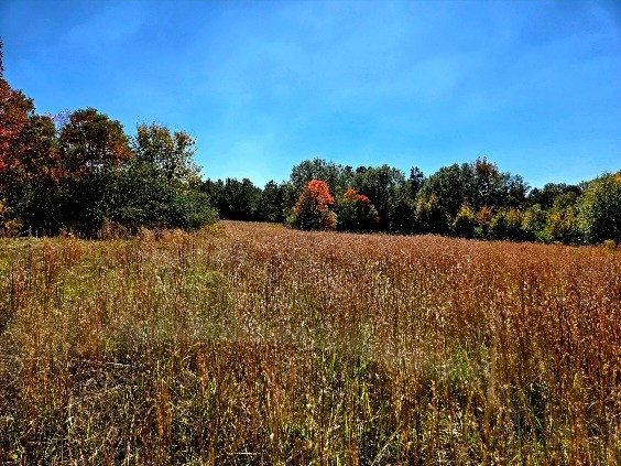 0 J L J L Robbins Road Carson, MS 39427 - Photo 13 of 33 Photo 13