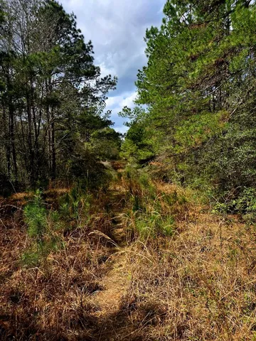 $238,000 | 0 J L J L Robbins Road, Carson, MS 39427