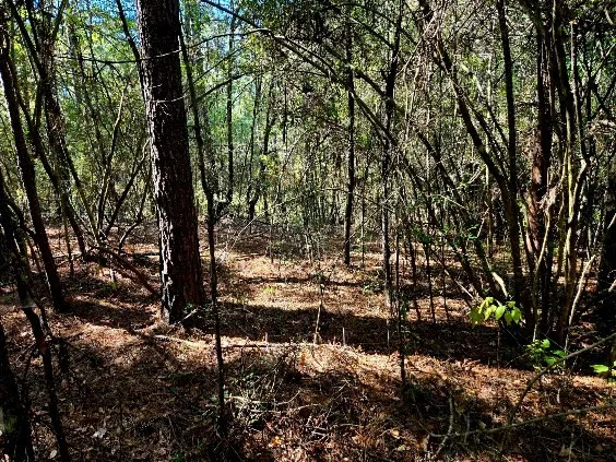 $238,000 | 0 J L J L Robbins Road, Carson, MS 39427