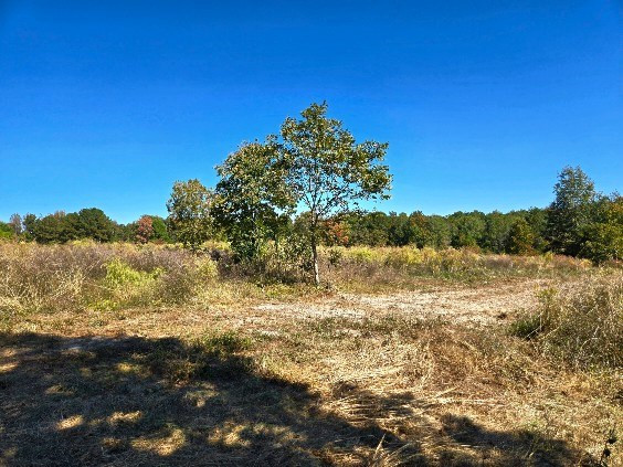 0 J L J L Robbins Road Carson, MS 39427 - Photo 18 of 33 Photo 18