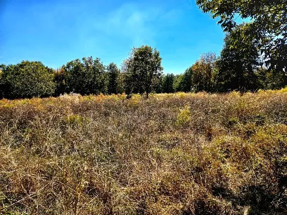 $238,000 | 0 J L J L Robbins Road, Carson, MS 39427