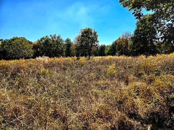 0 J L J L Robbins Road Carson, MS 39427 - Photo 19 of 33 Photo 19