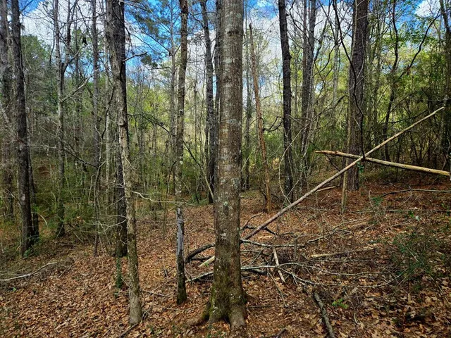 $238,000 | 0 J L J L Robbins Road, Carson, MS 39427