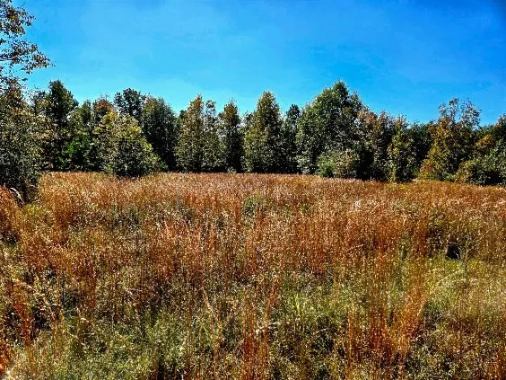 $238,000 | 0 J L J L Robbins Road, Carson, MS 39427